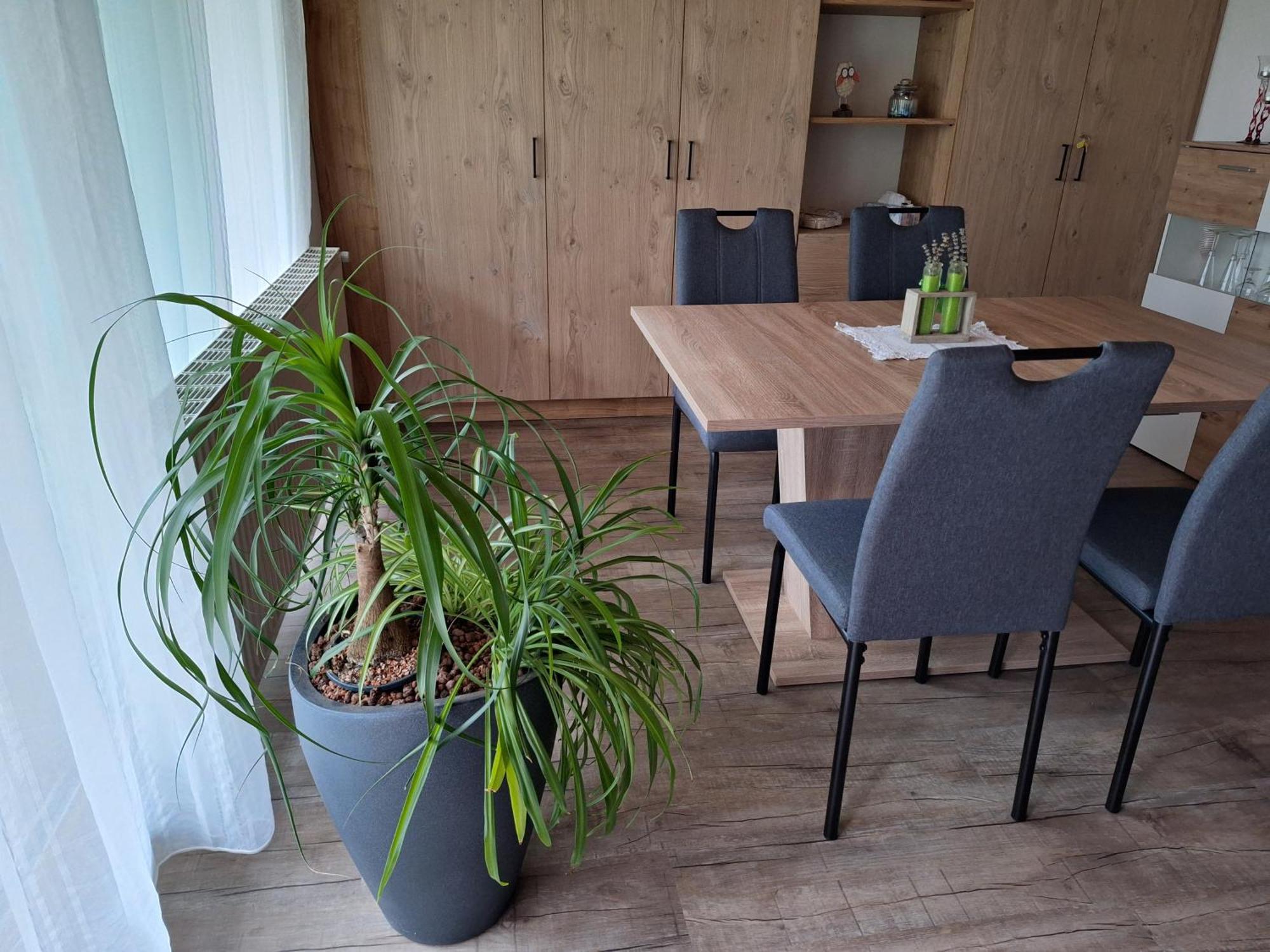 Apartment Eva ساوتينس المظهر الخارجي الصورة